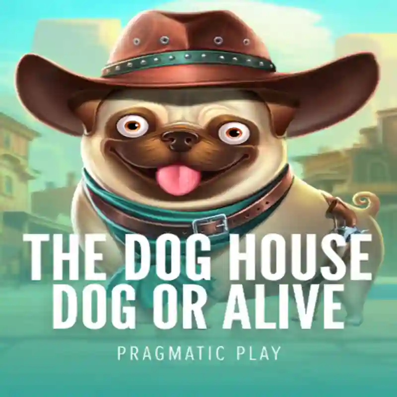 Dog House Dog & Alive casino slot game
